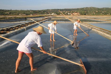 Esperienze per famiglie